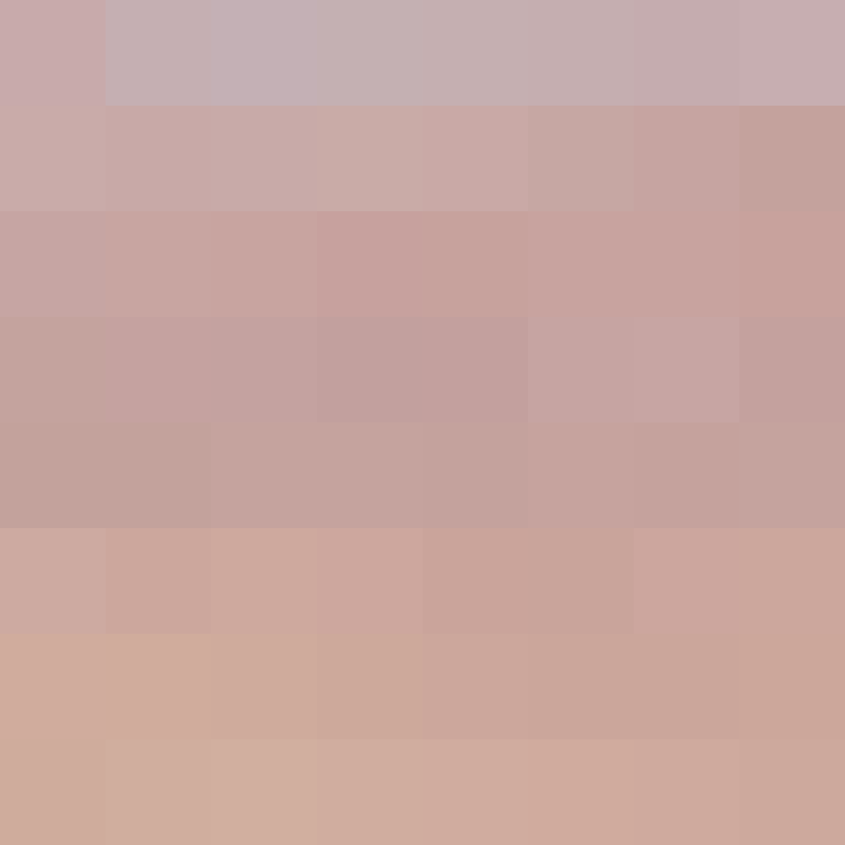 BukkitAPI's skin