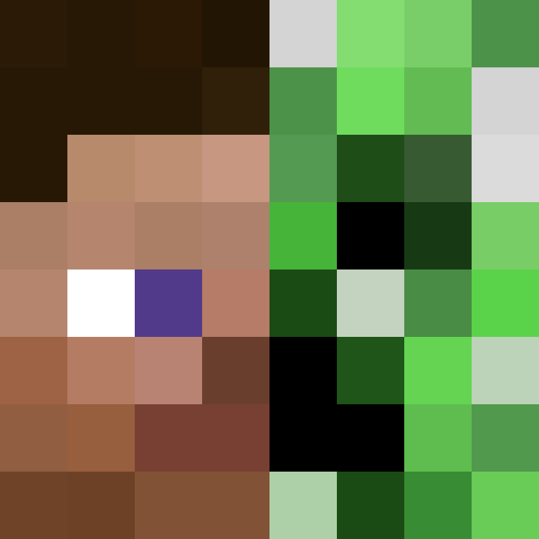 8aca680b22461340's skin