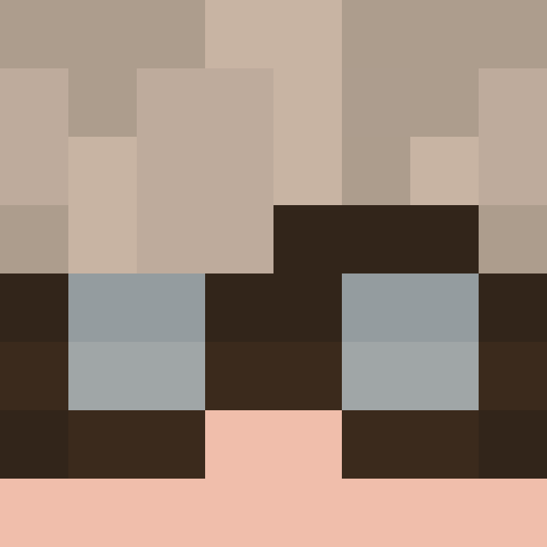 deminecrafterlol's skin