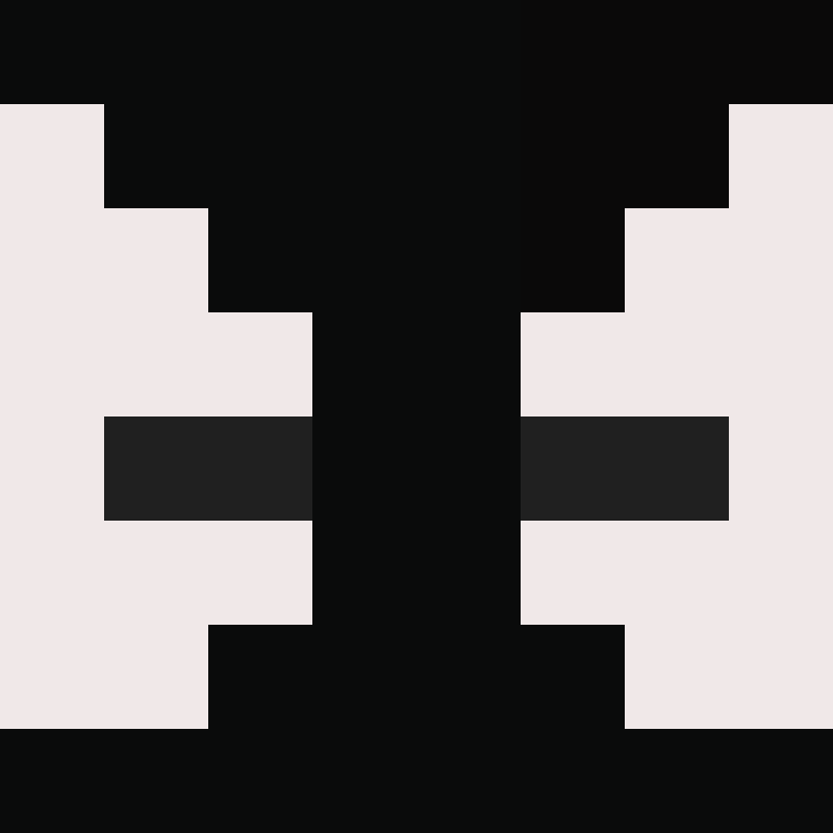 wiredframe's skin