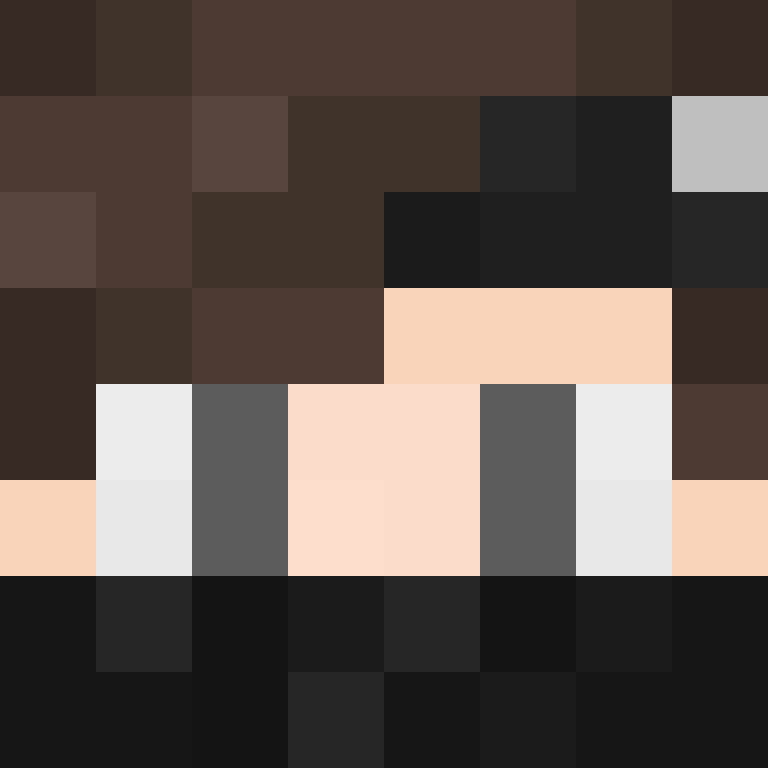 BukkitAPI's skin