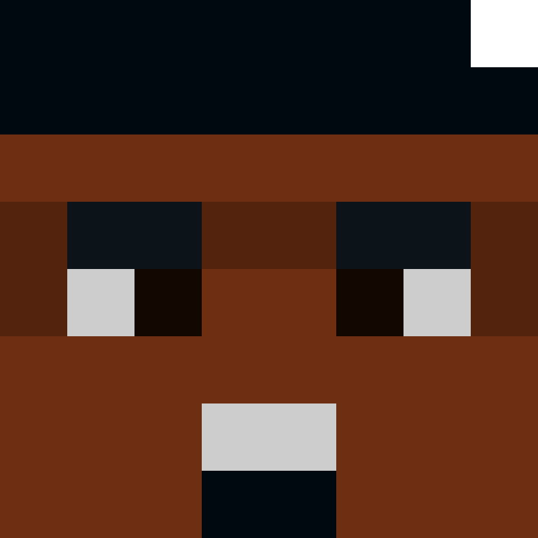 8aca680b22461340's skin