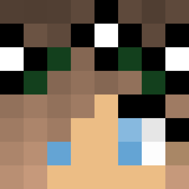 wiredframe's skin