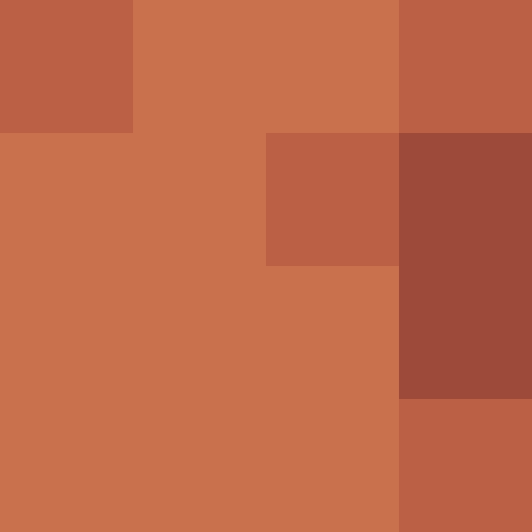 BukkitAPI's skin