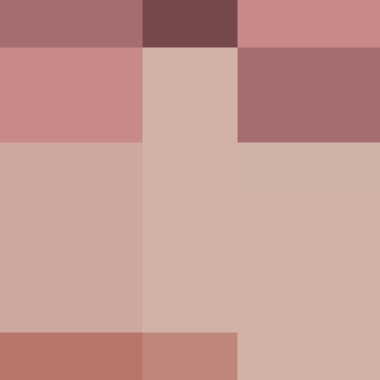 MacBookProM2's skin