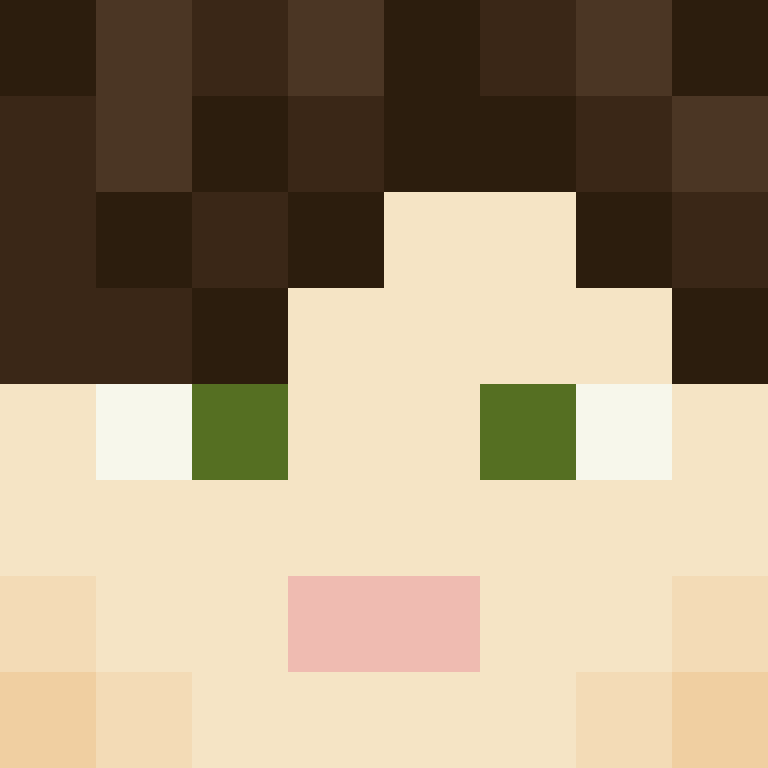 wiredframe's skin