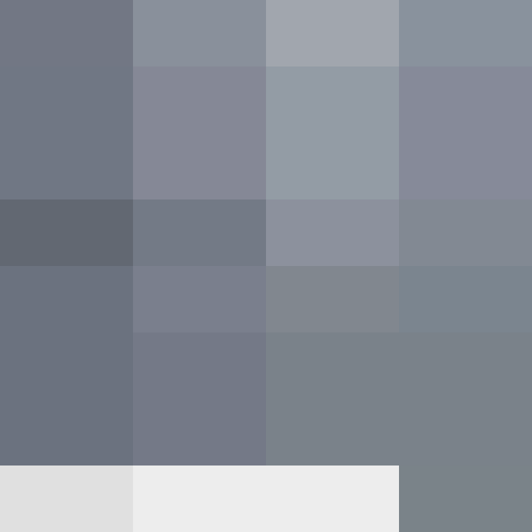 CeilingBird's skin