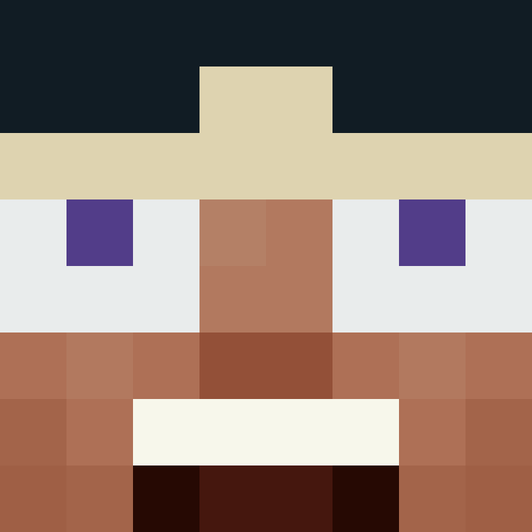 BukkitAPI's skin