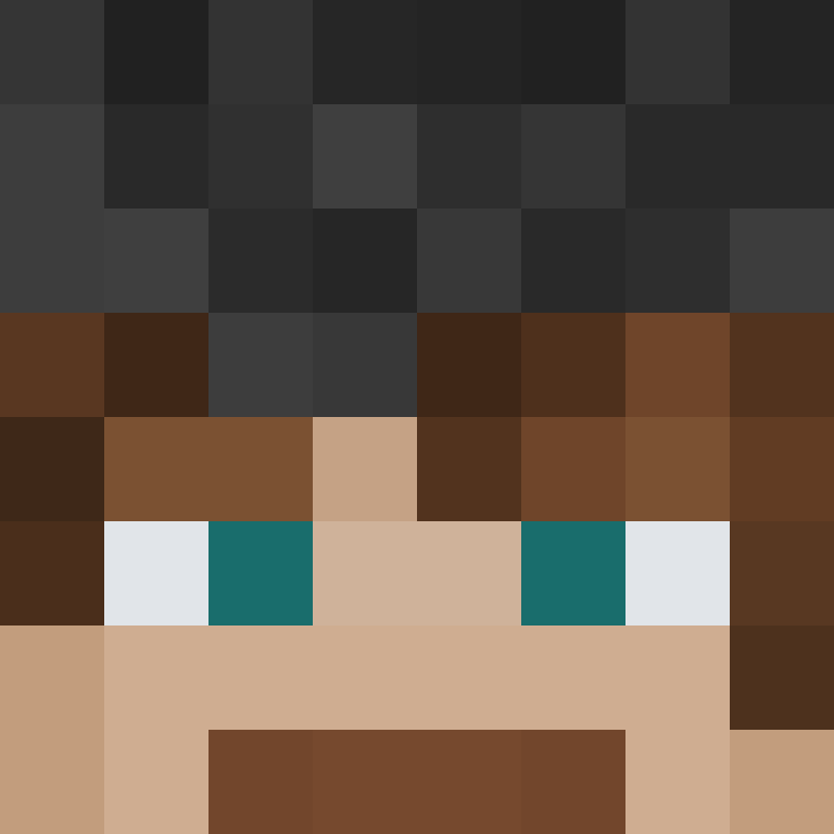 xX_No_Income_Xx's skin