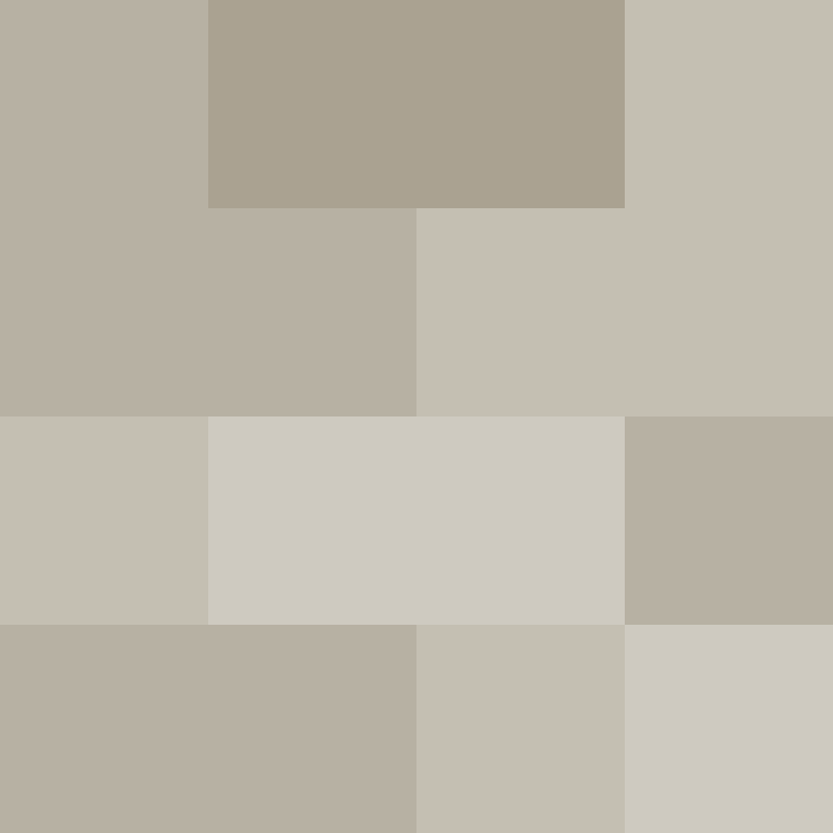 AutoSkin's skin