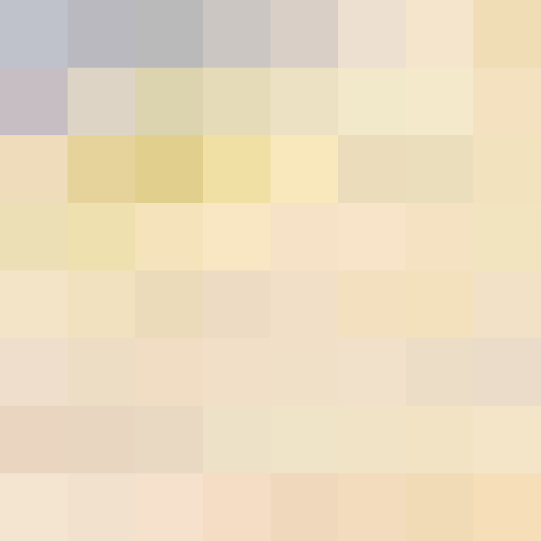 CeilingBird's skin