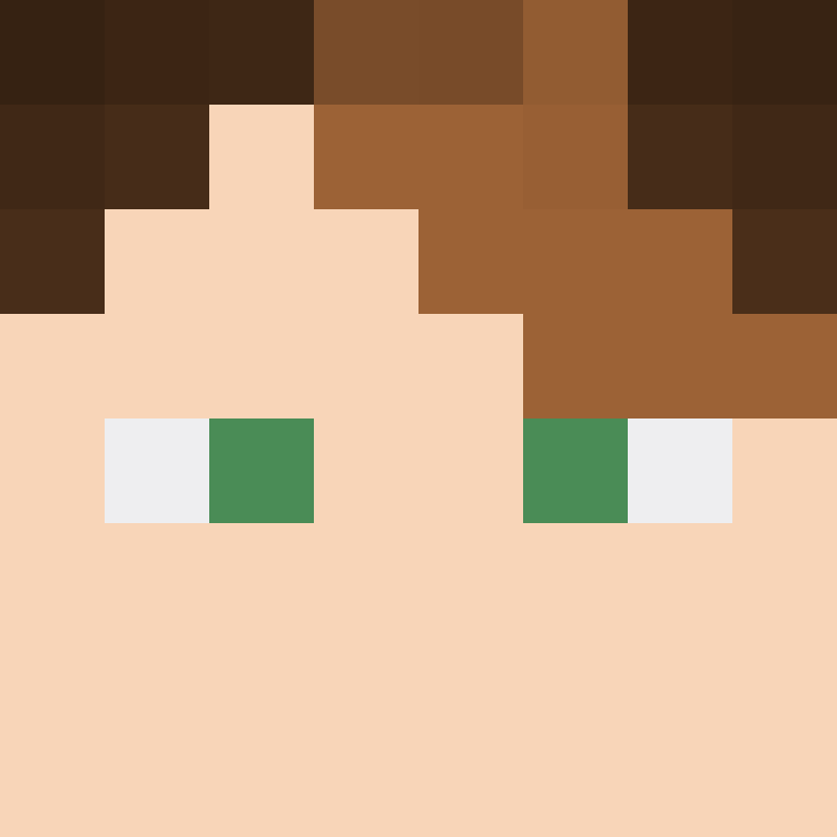 BukkitAPI's skin