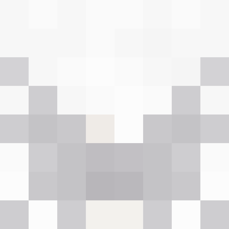 BukkitAPI's skin