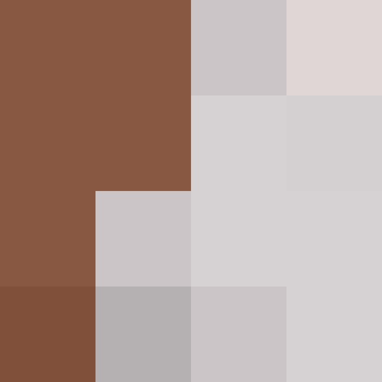 8b2ca111504dde50's skin