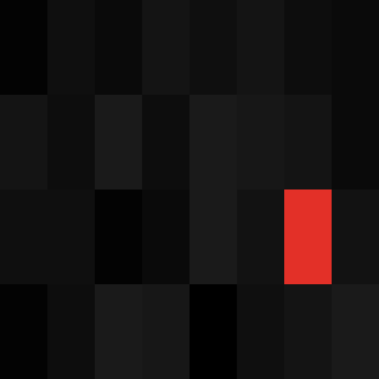 zervation's skin