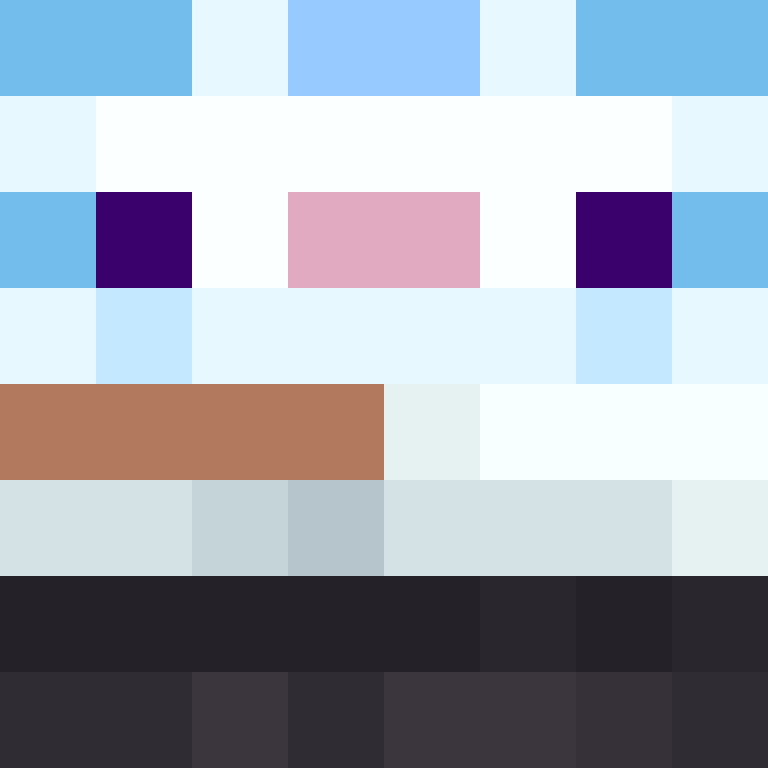 8aca680b22461340's skin