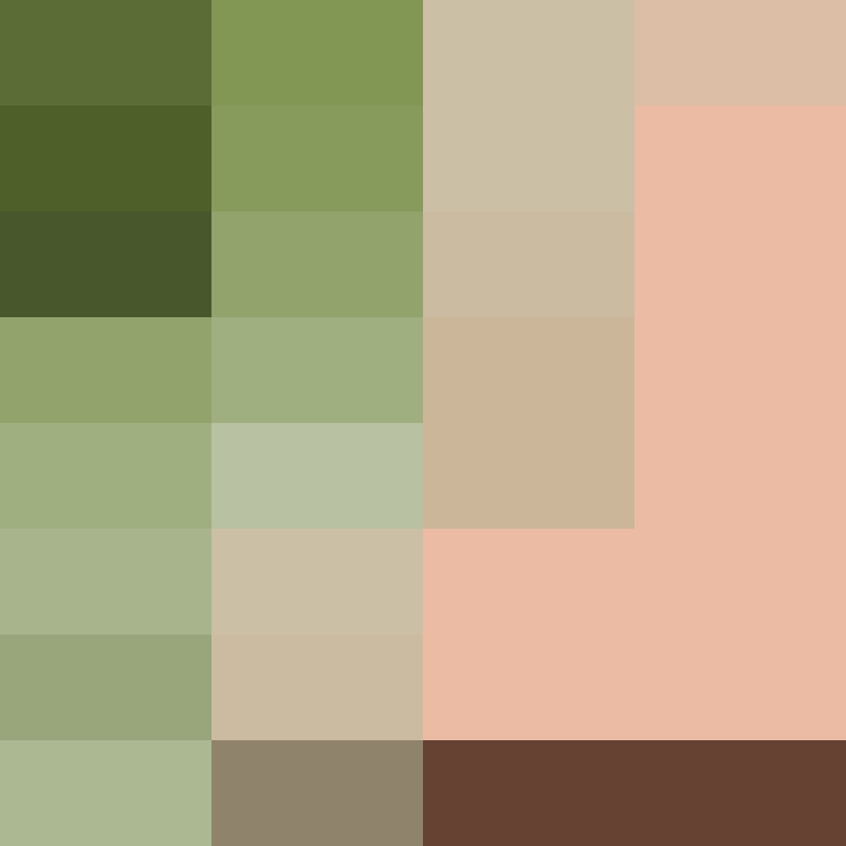 _pakman_'s skin
