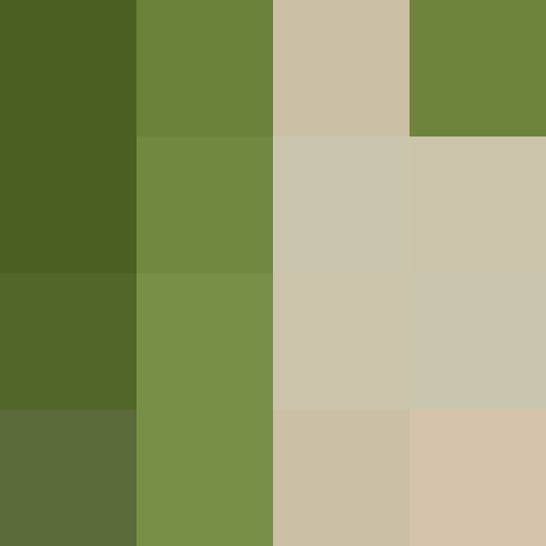 O_Rei's skin