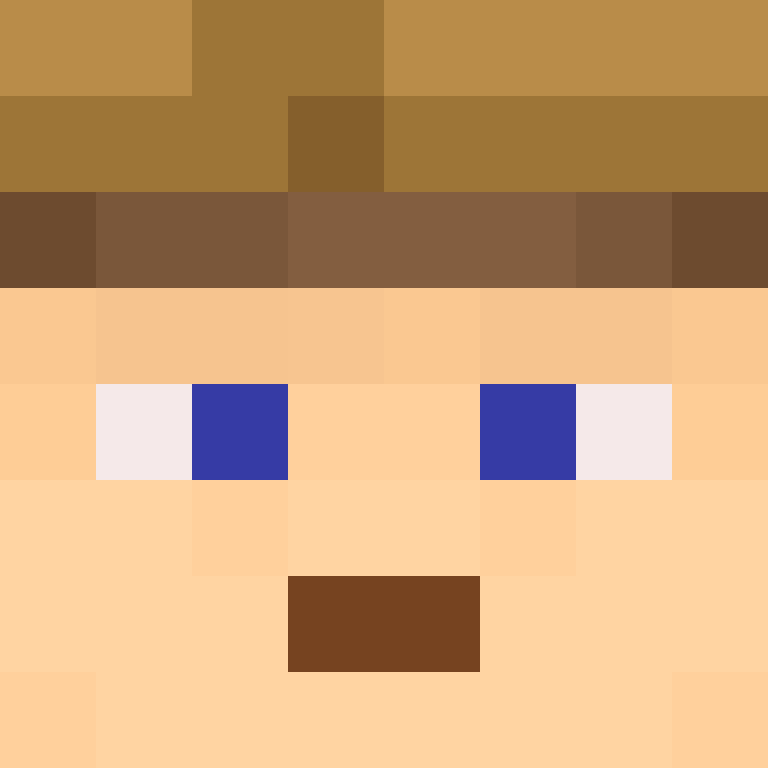 CeilingBird's skin