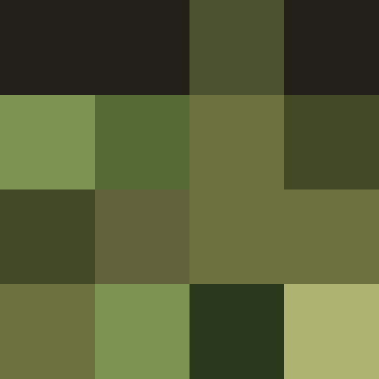 Naqlua's skin