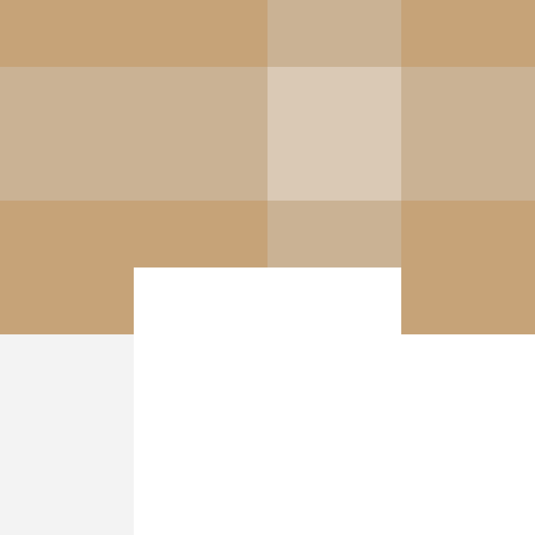 BukkitAPI's skin