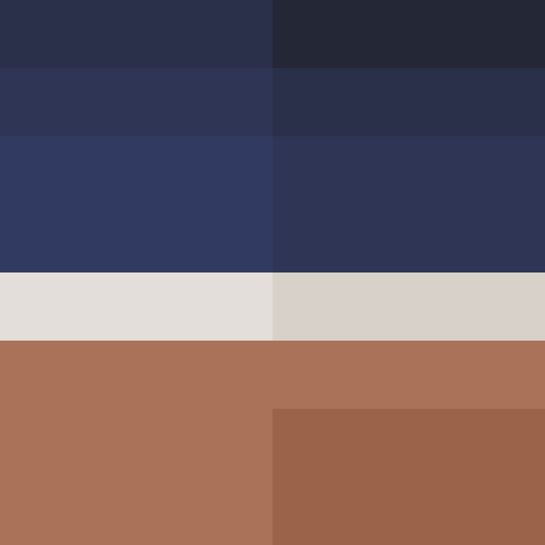 AutoSkin's skin