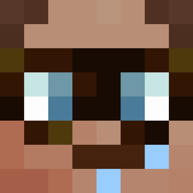 CeilingBird's skin