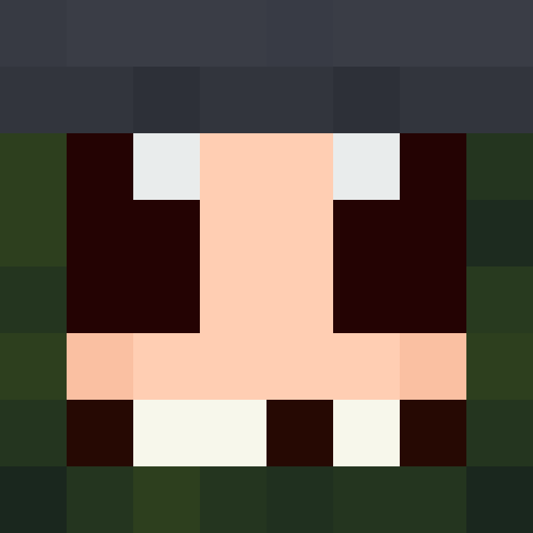 BukkitAPI's skin