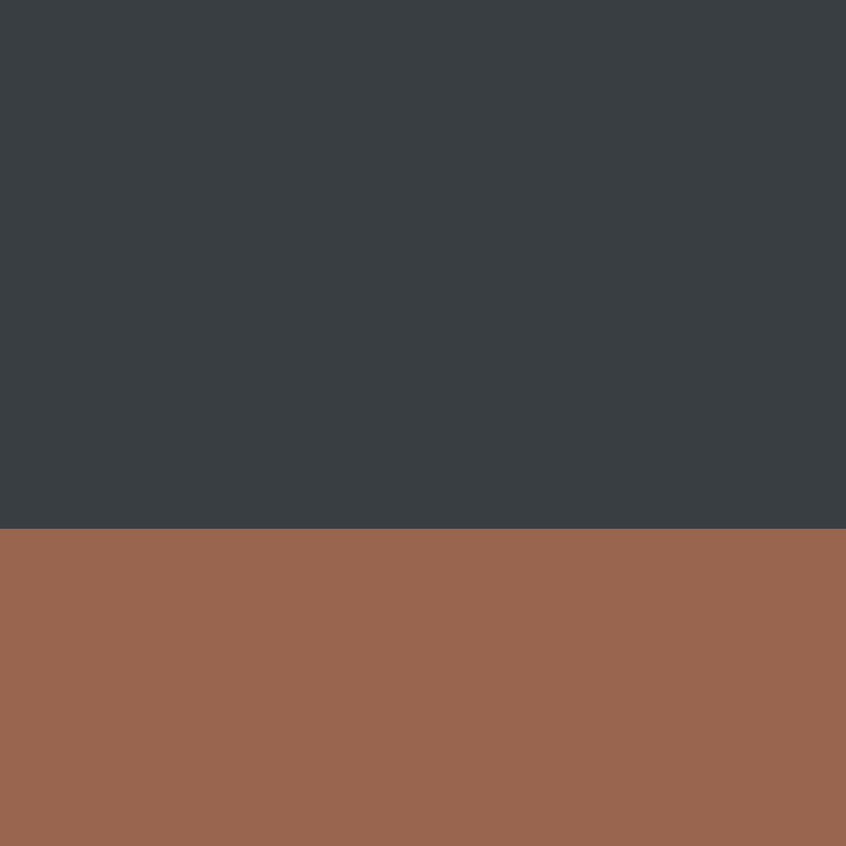 GeyserMC's skin