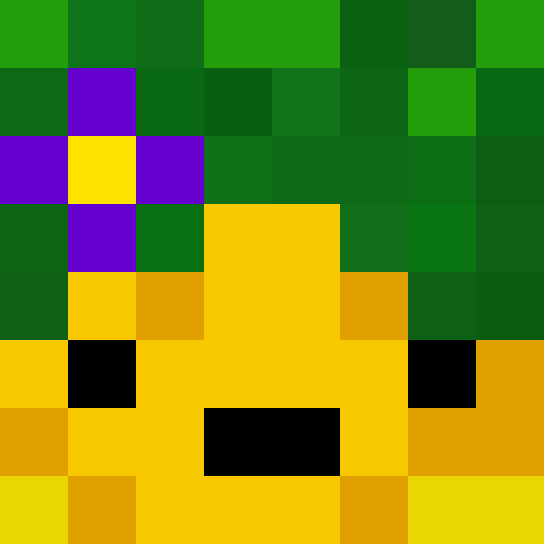 acin5's skin