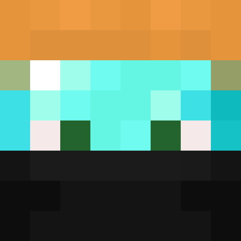 wiredframe's skin