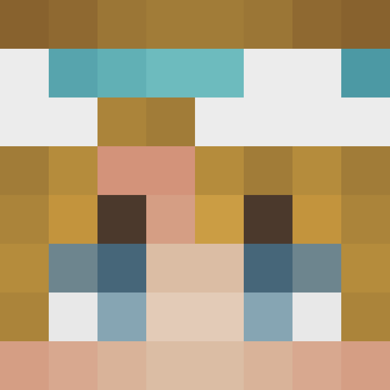 8aca680b22461340's skin