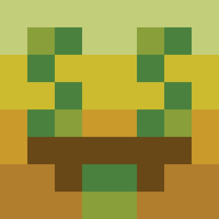 acin5's skin