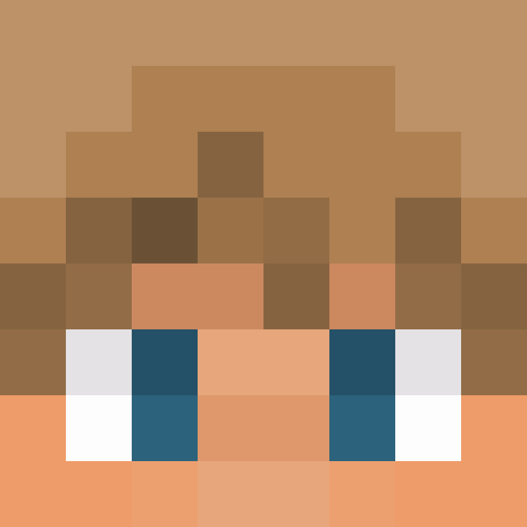 CeilingBird's skin