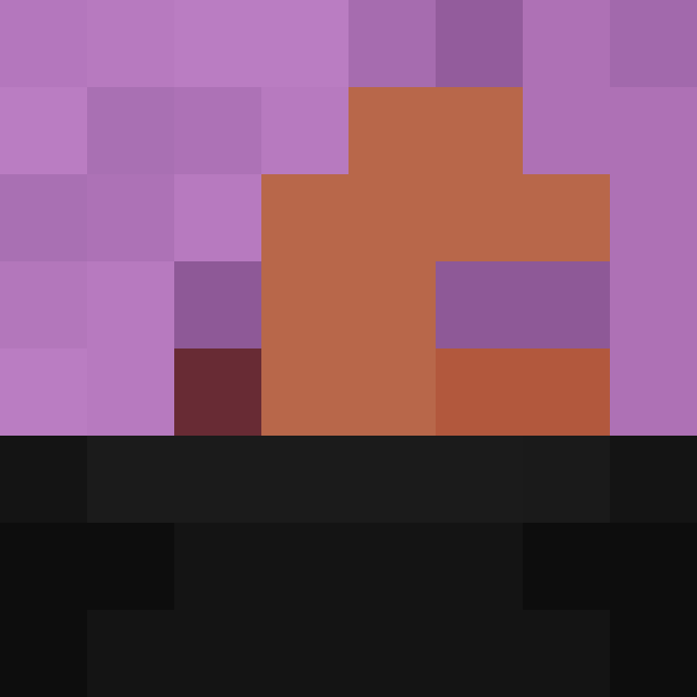 AutoSkin's skin