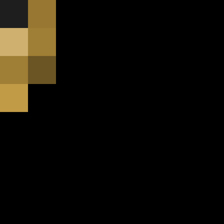 Axerh's skin