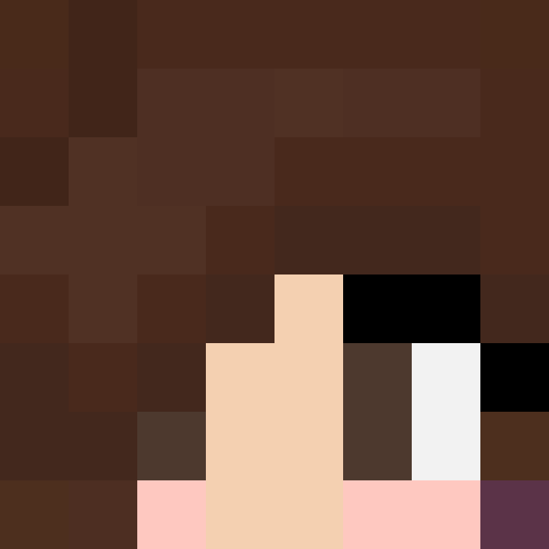 8aca680b22461340's skin