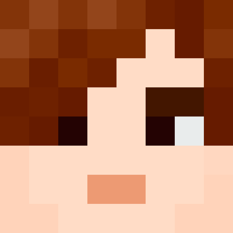 CeilingBird's skin