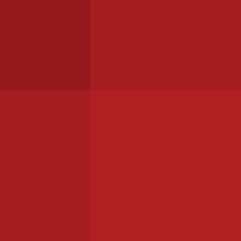 Zuarig's skin