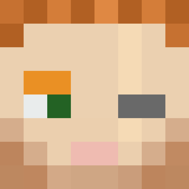8aca680b22461340's skin