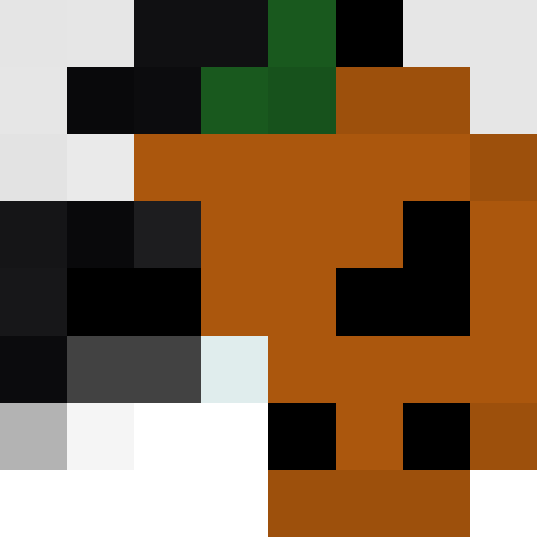 AirplaneGoBrr's skin