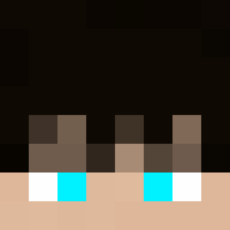 8aca680b22461340's skin