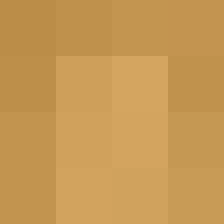 DonaldTrump42's skin