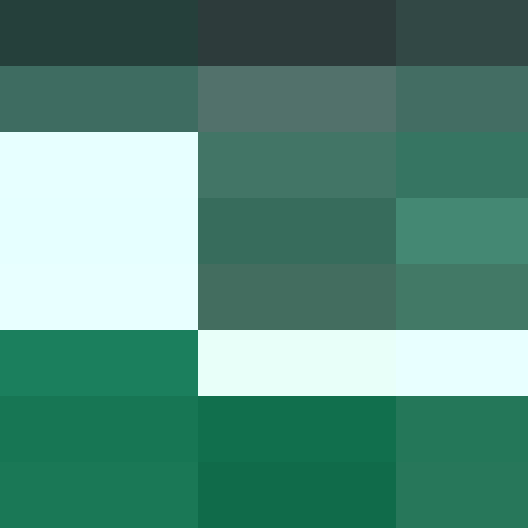 8aca680b22461340's skin