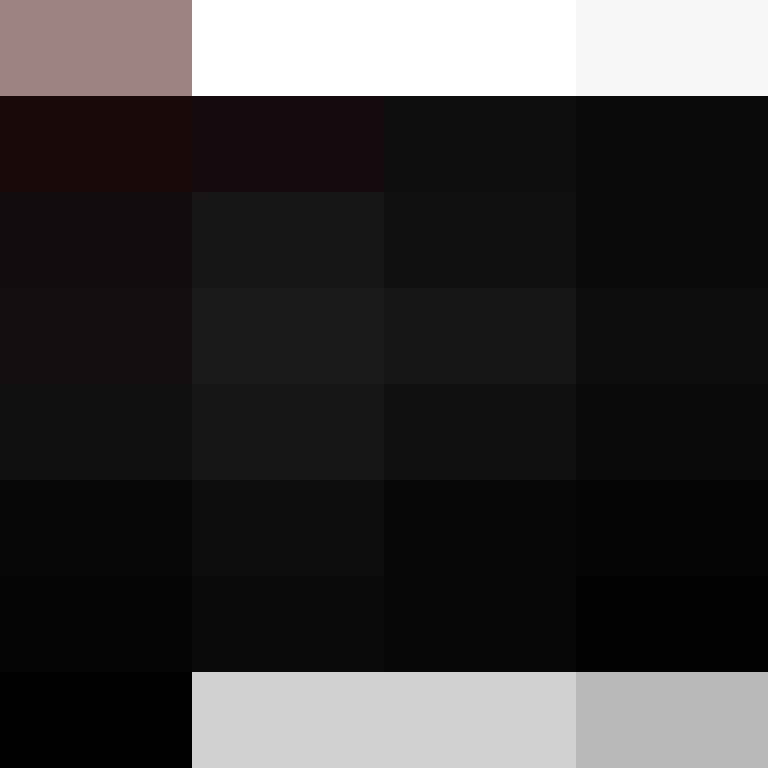 BradBot_2's skin