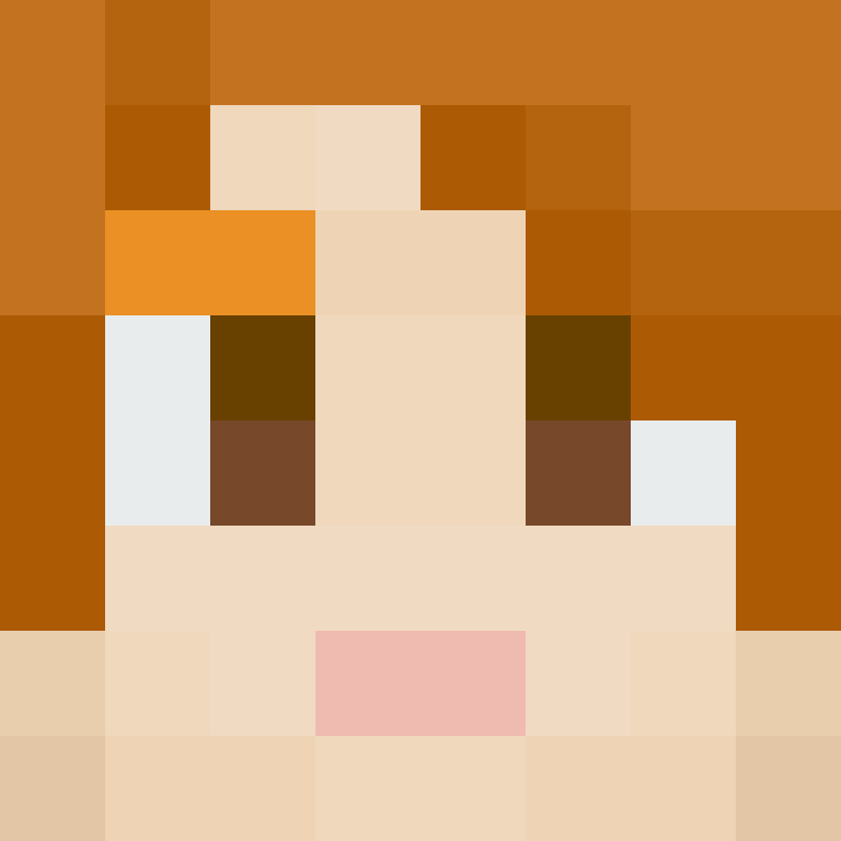 8aca680b22461340's skin