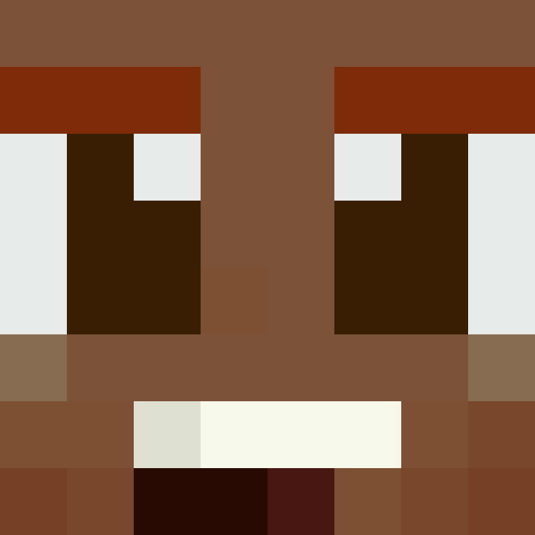 CeilingBird's skin