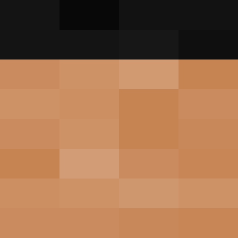 dragloner's skin