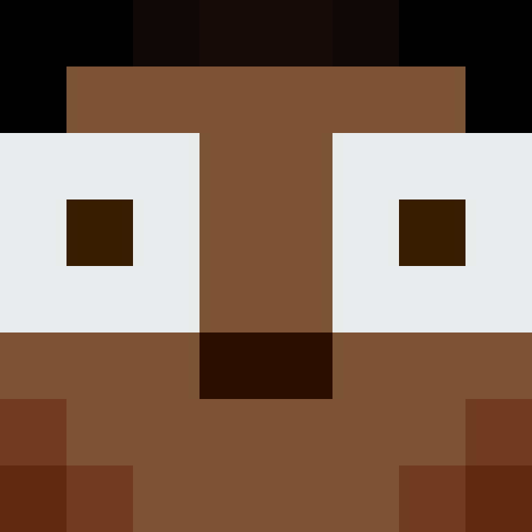 CeilingBird's skin