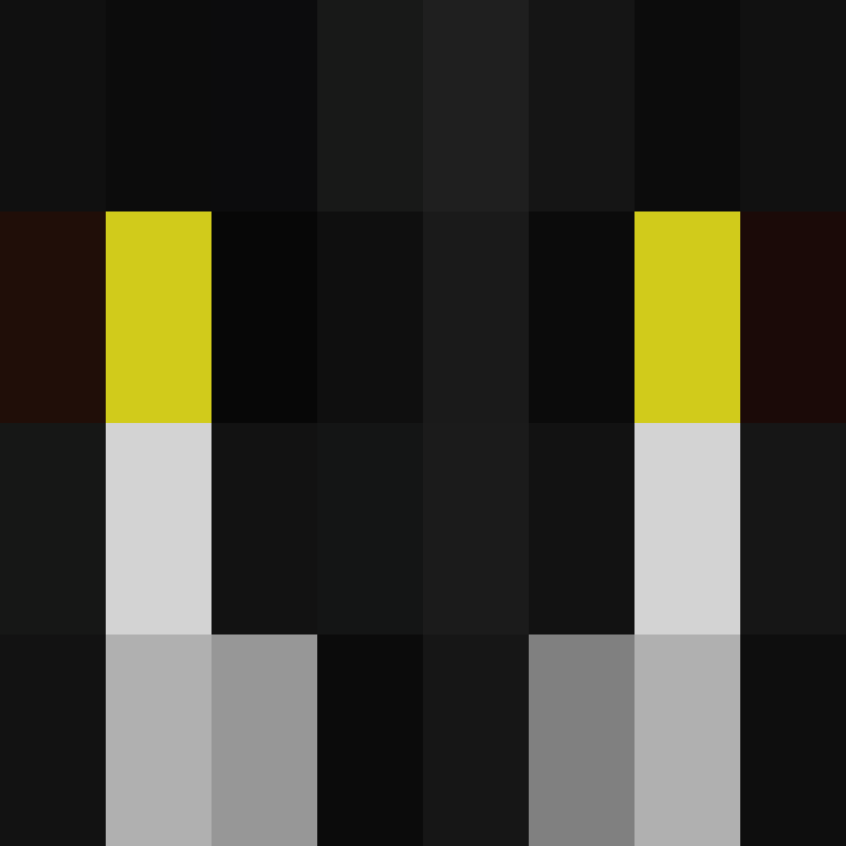 zervation's skin